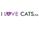 ILoveCats.no